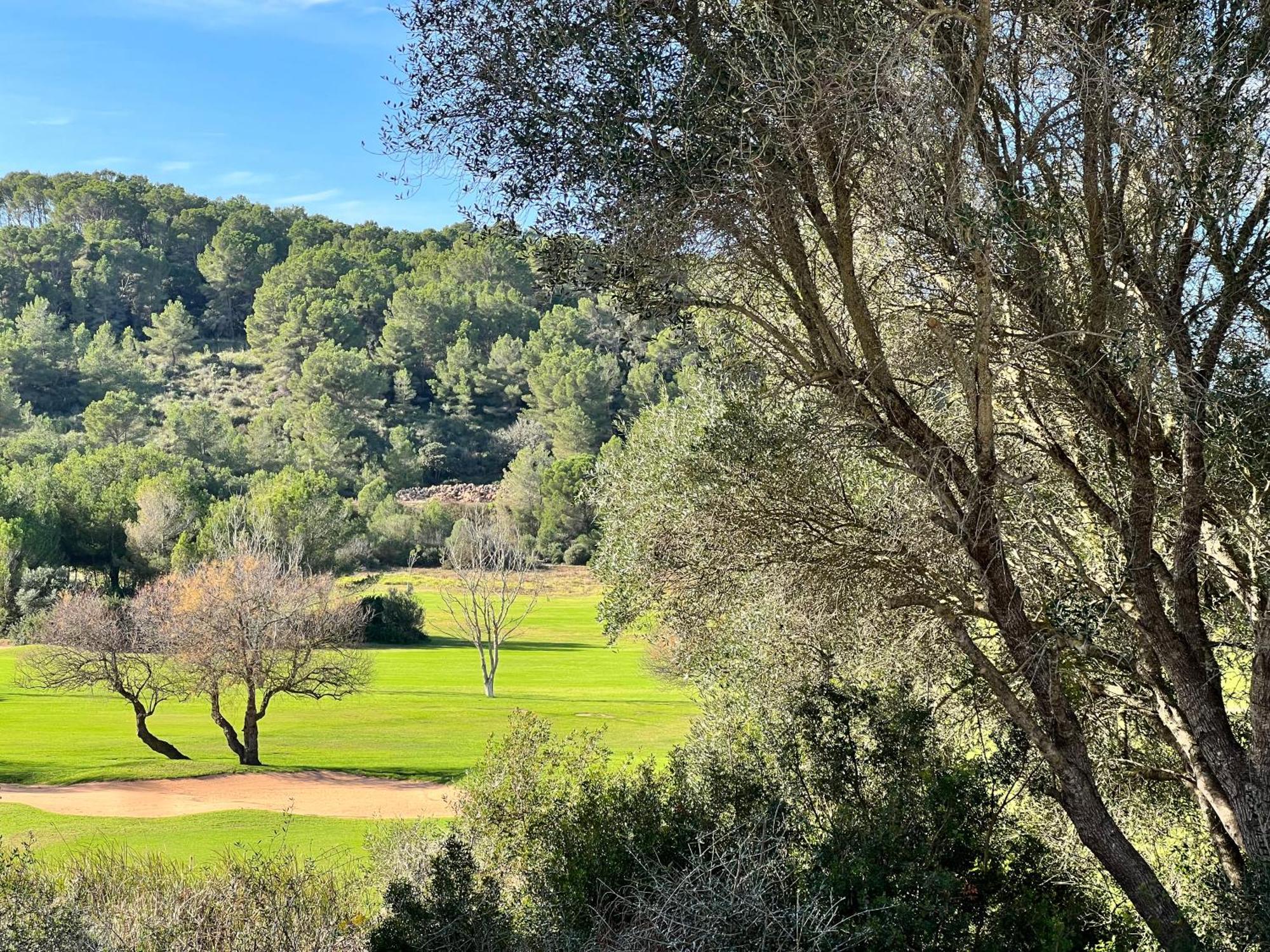 Disfruta Del Paraiso Son Parc Εξωτερικό φωτογραφία